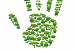 Шмелев-Максим