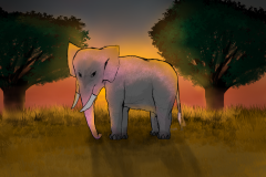 Розовый-слон-Olga